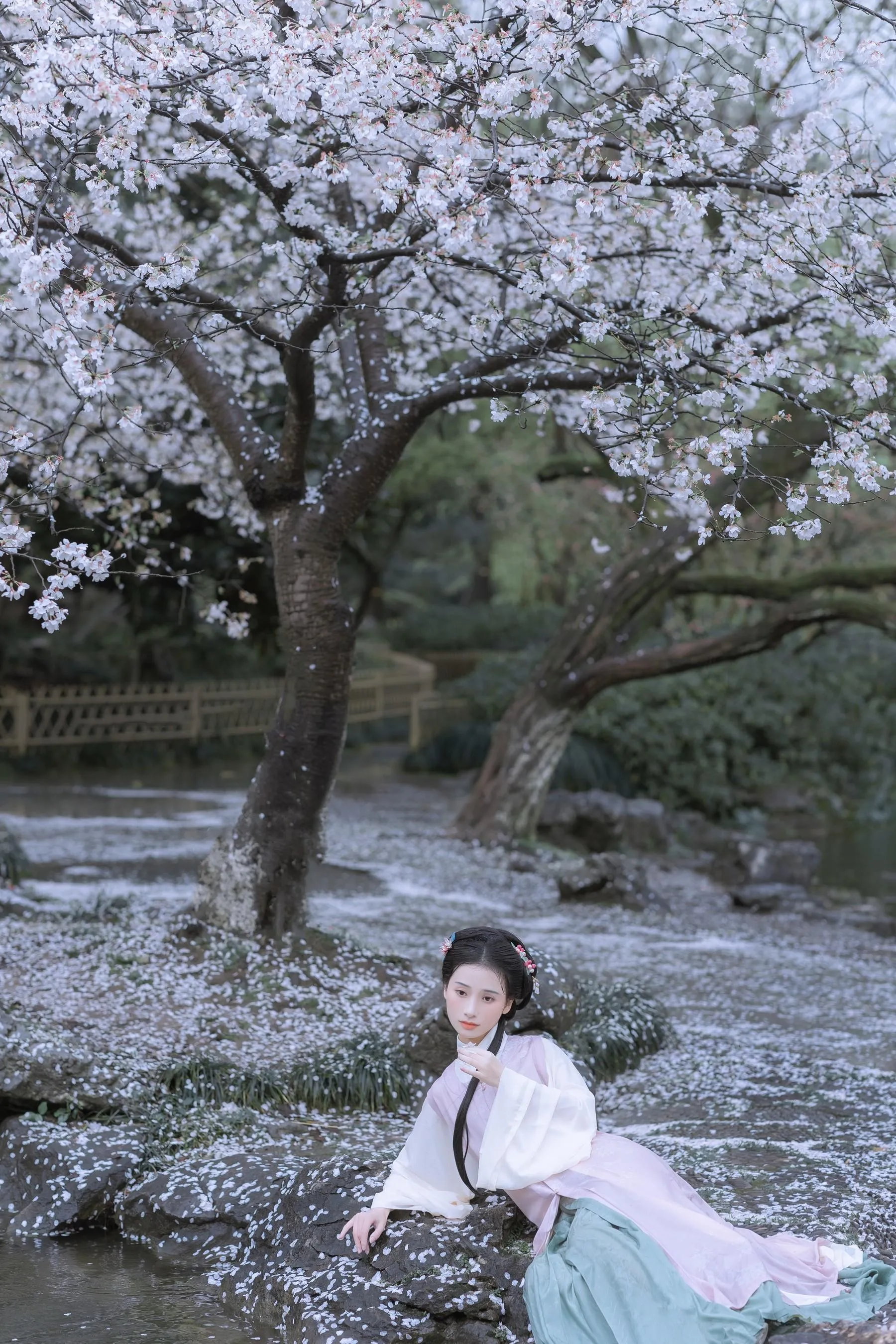 [艺图语] 2022.05.25 雨樱花 眸小妖 [46P]插图9